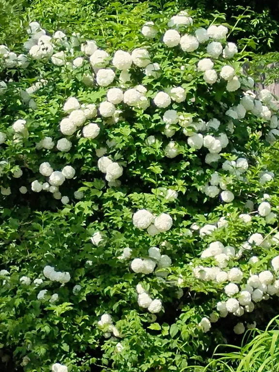 Купеческий дом в центре города