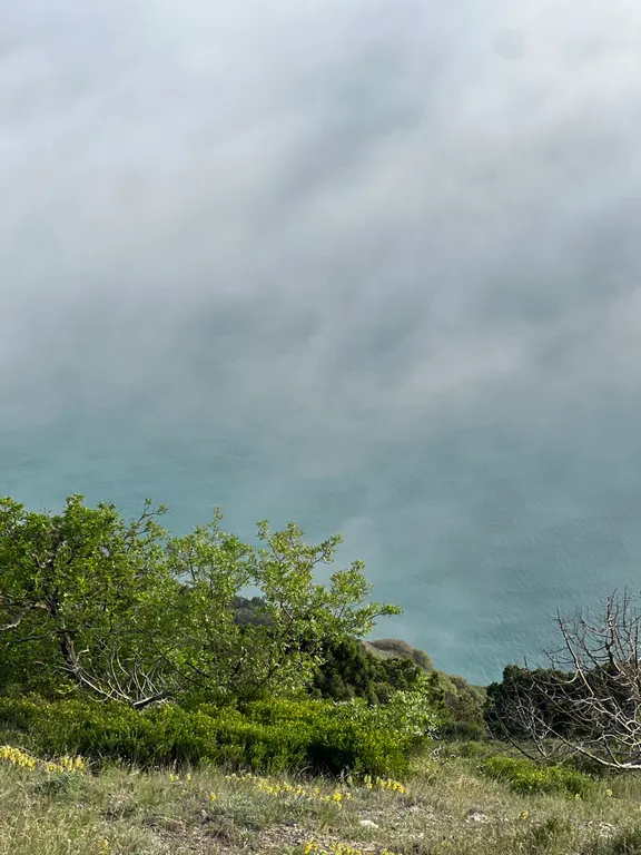 Коттедж Villa Veres — Варваровка