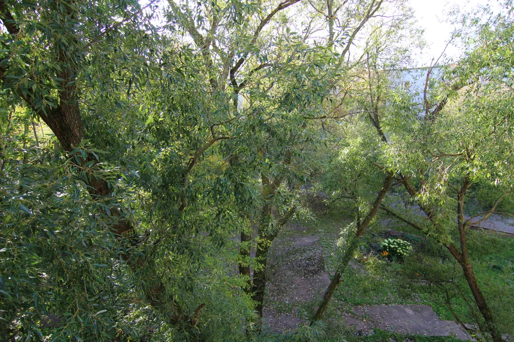 Квартира люкс в центре города