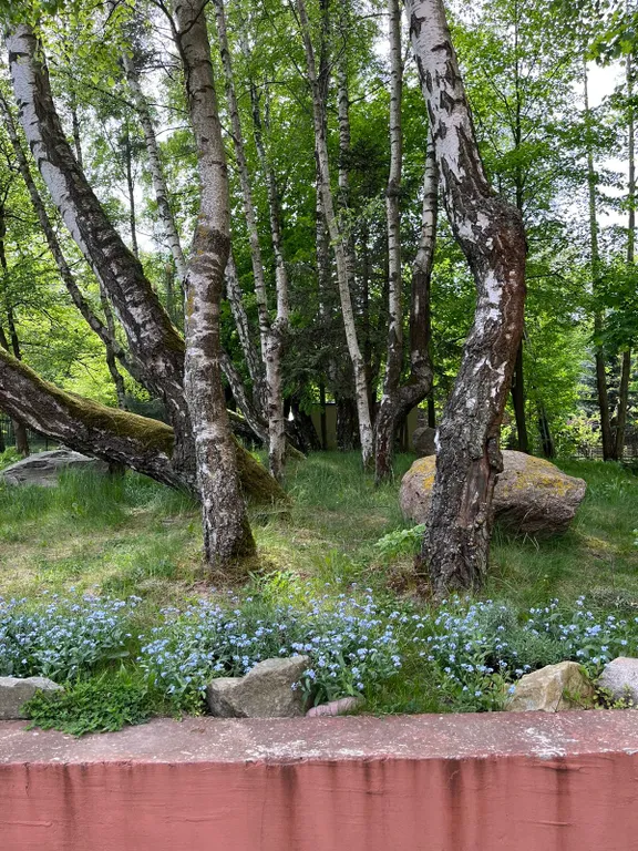 Квартира Новая квартира у моря — Светлогорск