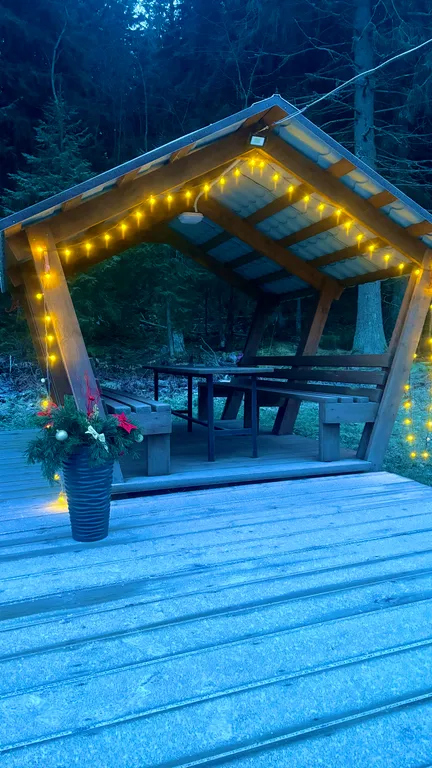 Дом с баней у леса