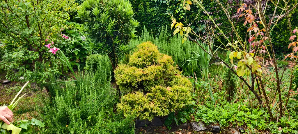 Квартира Квартира Двухспальный комфортабельный номер в гостевом доме — Сухум