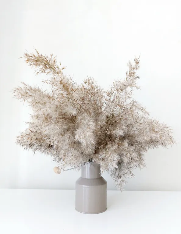 Солнечные апартаменты в спальном районе города