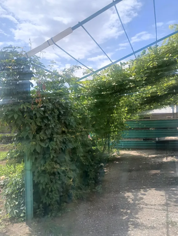 Дом на арендной