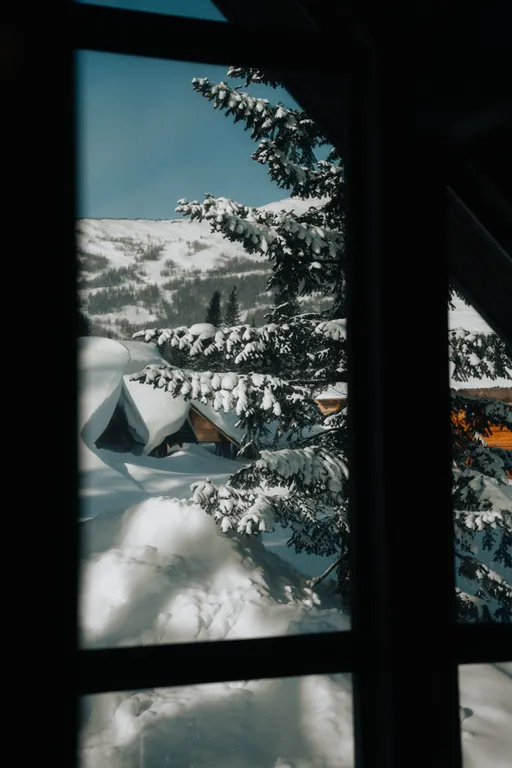 Шале Гагарин