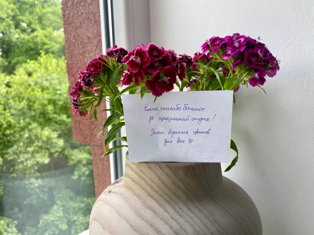 Квартира Квартира Оливковая Ветвь в историческом центре — Светлогорск