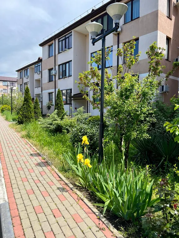 Квартира около моря