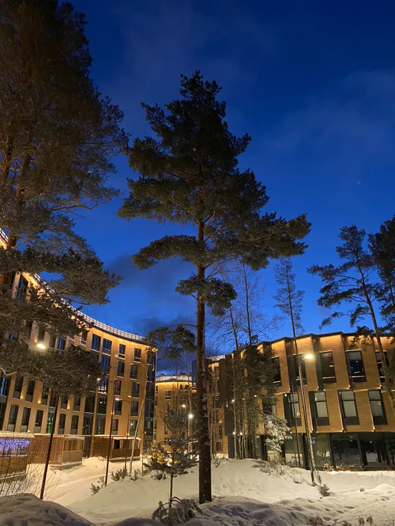 Апартаменты на берегу Финского залива