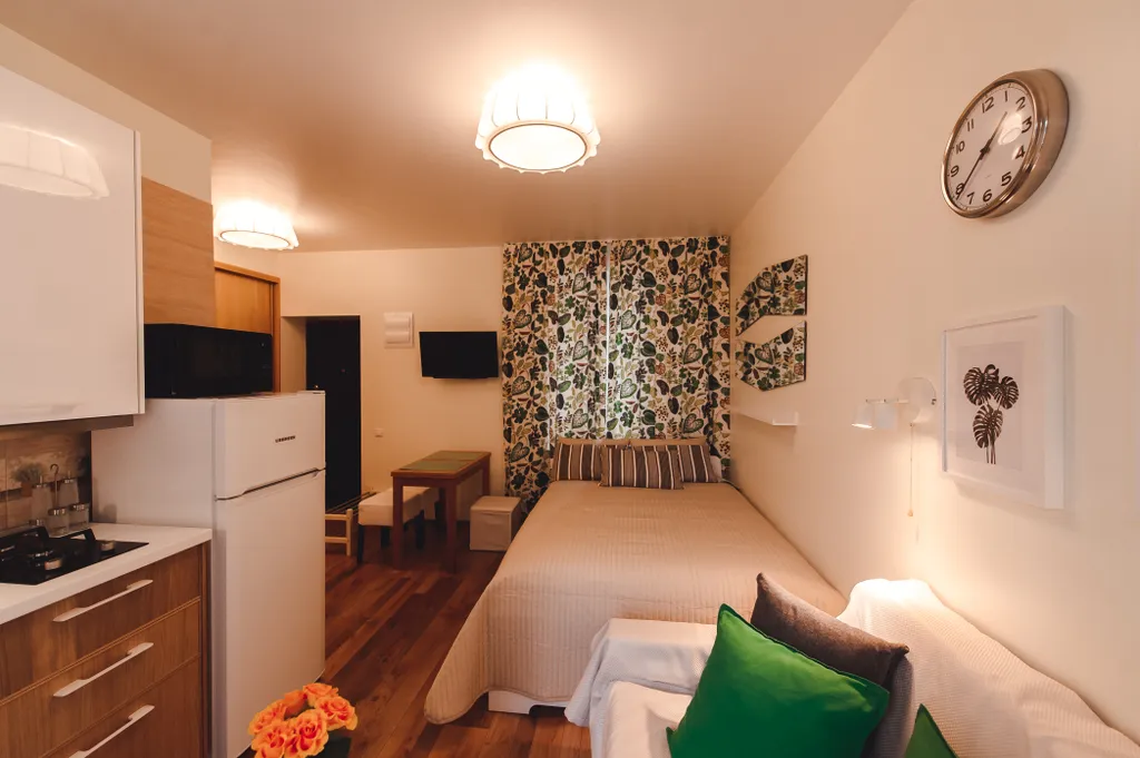 Квартира 1-комнатная Квартира — Сириус