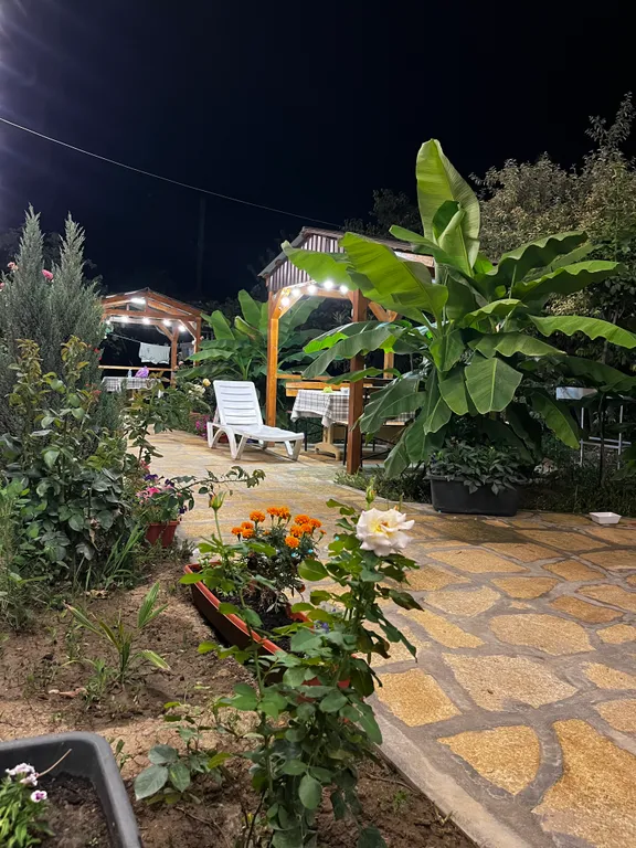 Коттедж - 3 на берегу моря