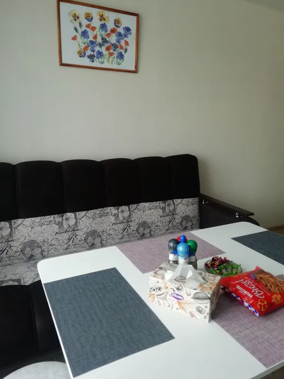 Уютная квартира с видом на Ильинский луг и Кремль