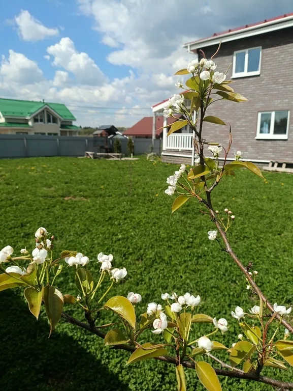 Дом с террасой, сауной рядом с лесом и пляжами