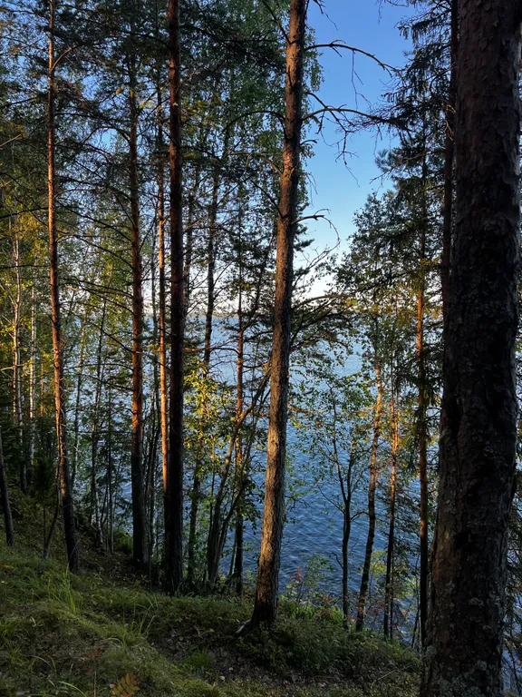 Коттедж Дом на берегу озера в Карелии — Чална