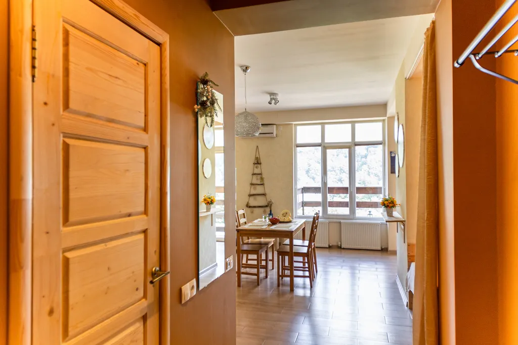 Просторная студия с видом на горы