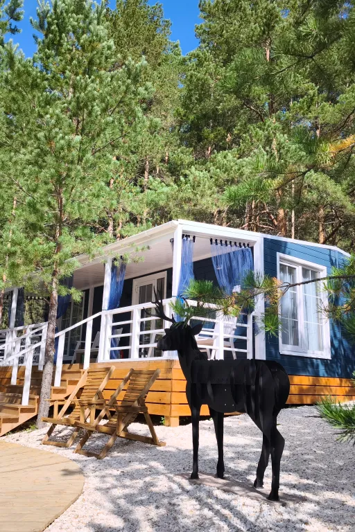 Дом с купелью в сосновом лесу