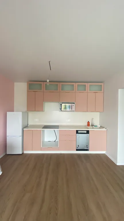 Квартира 2-комнатная Квартира — Янино-1