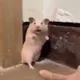 Оксана