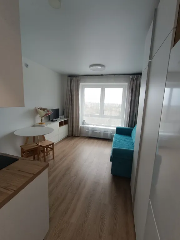 Уютная студия с видом на лес