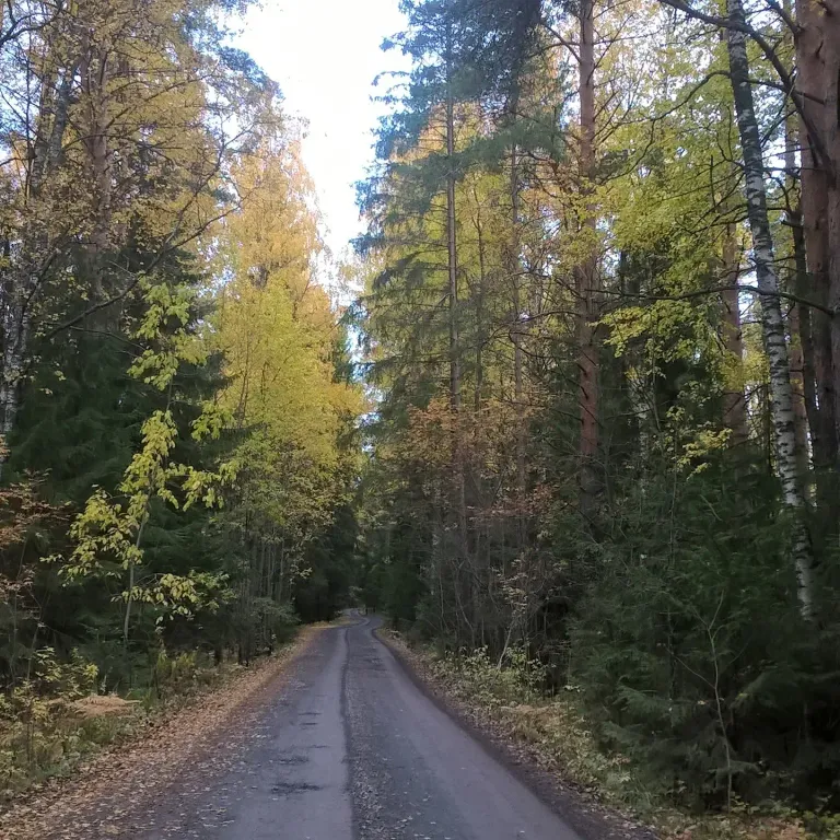 Дом на берегу озера без соседей