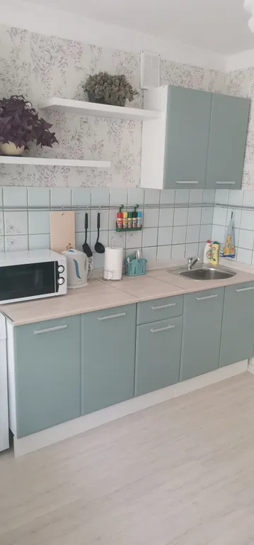 2-комнатная Квартира — аренда посуточно в Листвянка (Байкал)