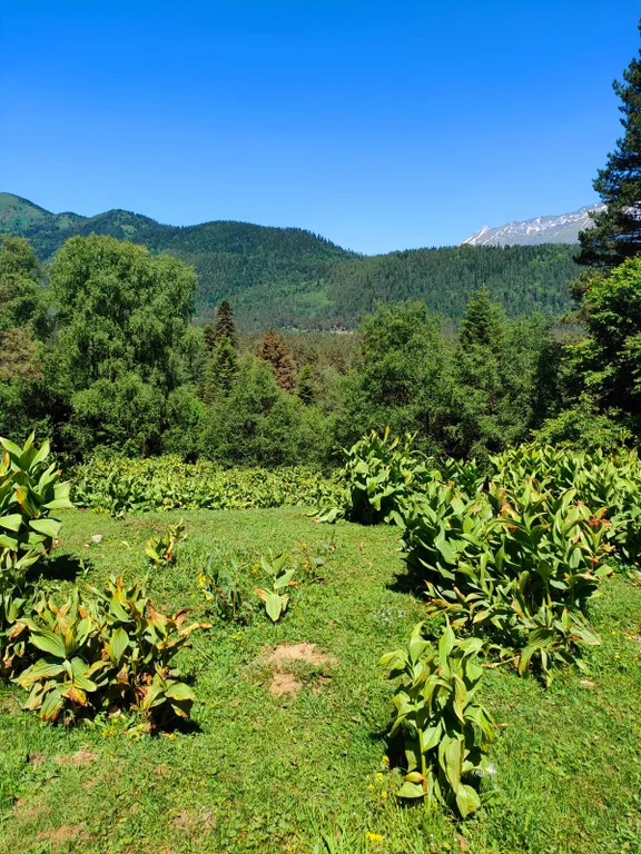 Экодомик с великолепным видом на горы
