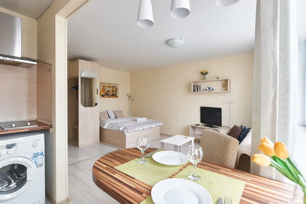 Стильная квартира-студия в центре