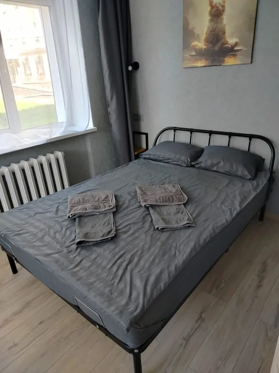 Уютная квартира в самом центре на набережной с видом на парк победы