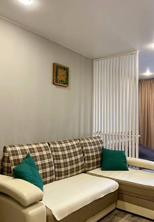 Уютная однокомнатная квартира