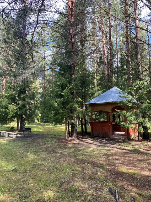 Дом в сосновом бору