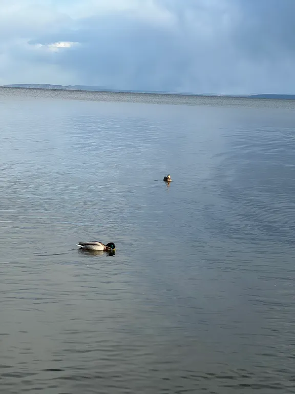 Уютный дом у реки с мангалом