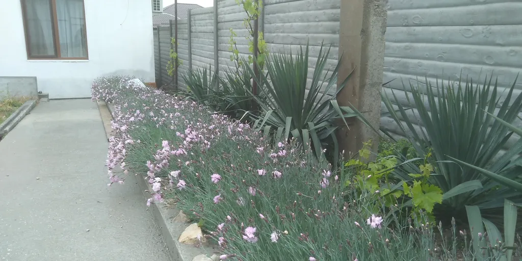 Коттедж 2-комнатный Дом — аренда посуточно в Бахчисарай