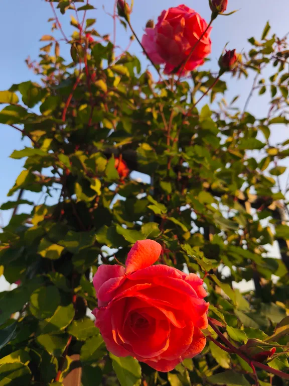 Новый дом с финской сауной, террасой и видом на гору Змейка