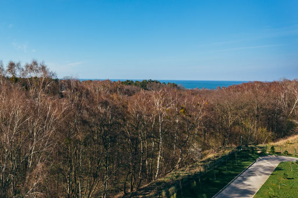 Морская сказка 1