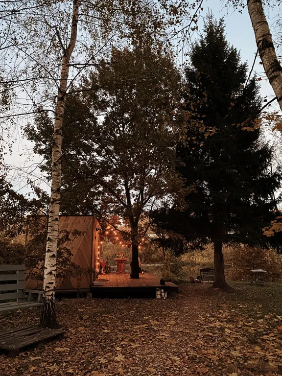 Чудо-дача, дом Акула на берегу пруда