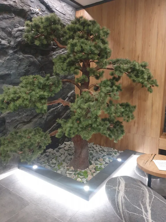 Студия в центре