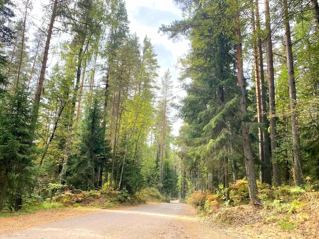 Коттедж Новый коттедж. Сауна и виды на природу-бесплатно — Санкт-Петербург