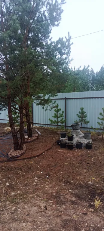 Лесной домик