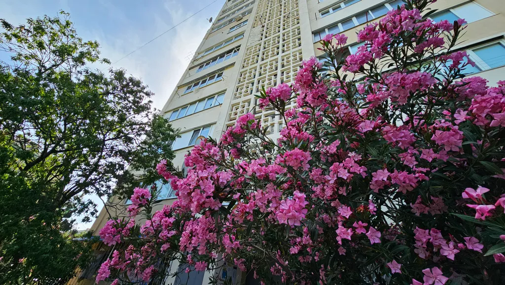 Уютная квартира в живописном посёлке Форос