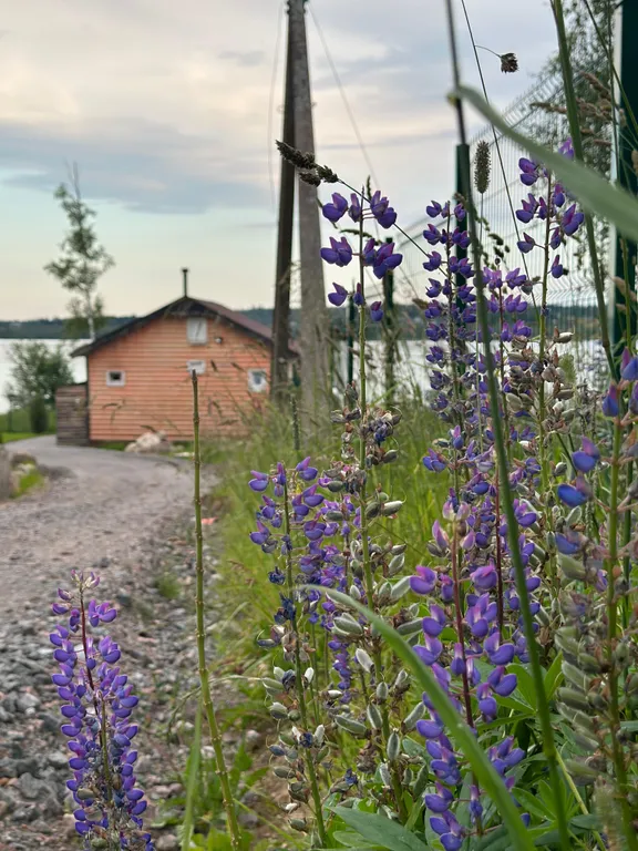 Квартира Семейный апартамент с просторной гостиной и просторной спальней — Мичуринское