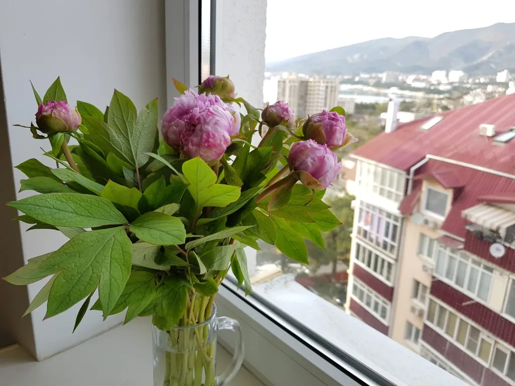 Просторная видовая квартира с кондиционером в 5 минутах от моря