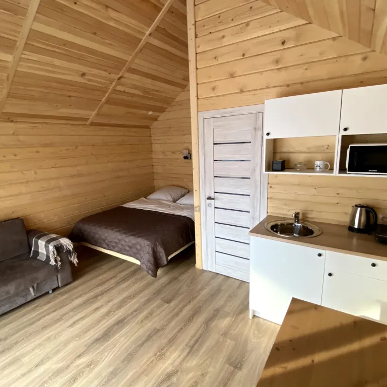 Дом-студия в селе Чемал