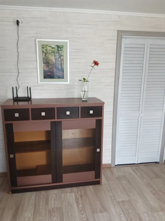 Комфортабельная квартира в центре города