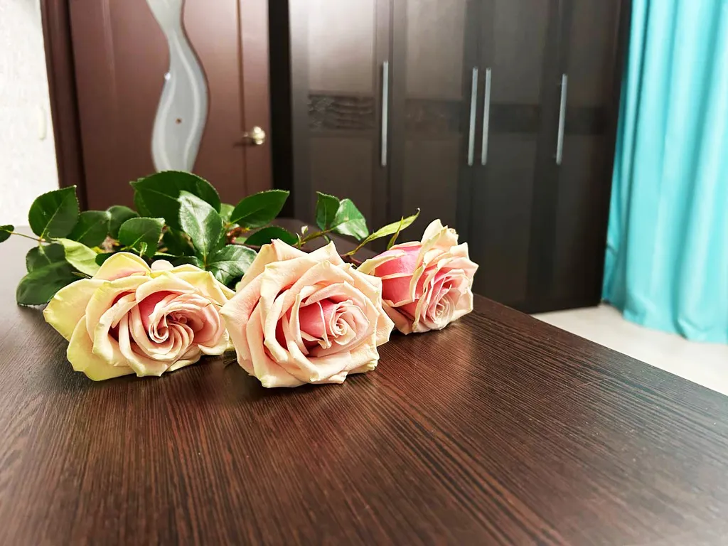 Apartment рядом с центром