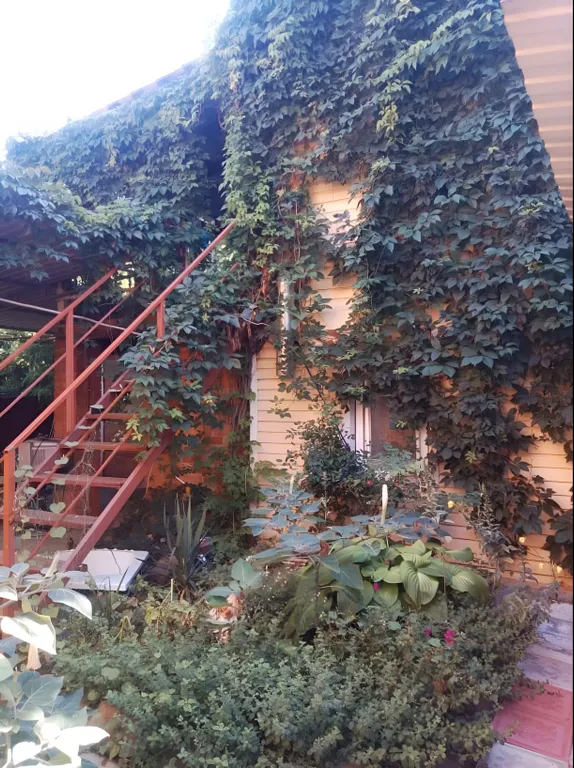 Уютный четырёхместный номер