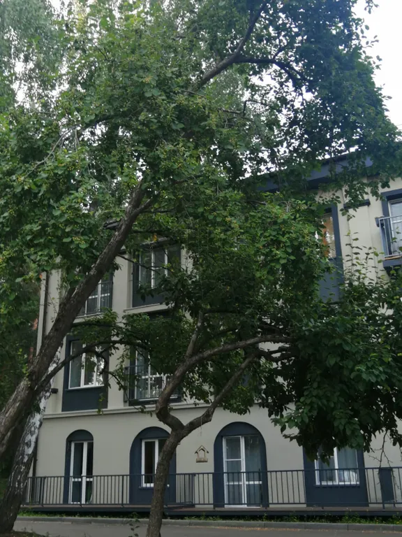 Апартаменты на Еловом