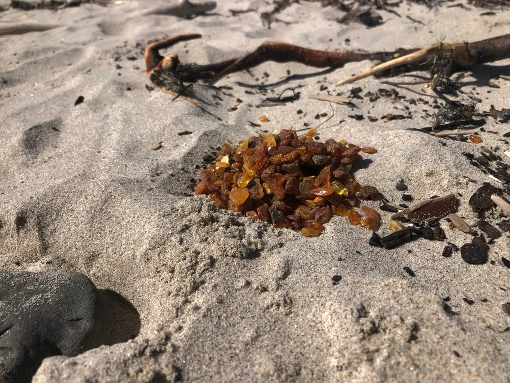 Апартаменты Лаванда