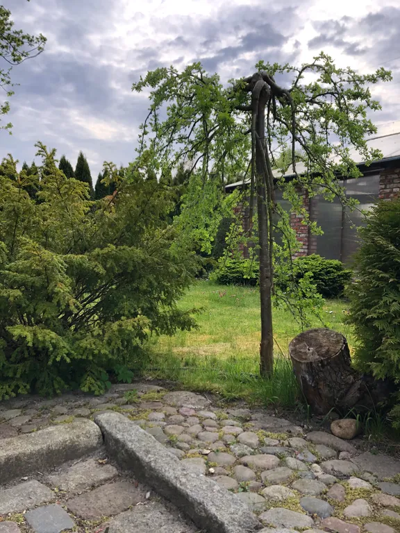 Коттедж Уютный дом у моря — Зеленоградск