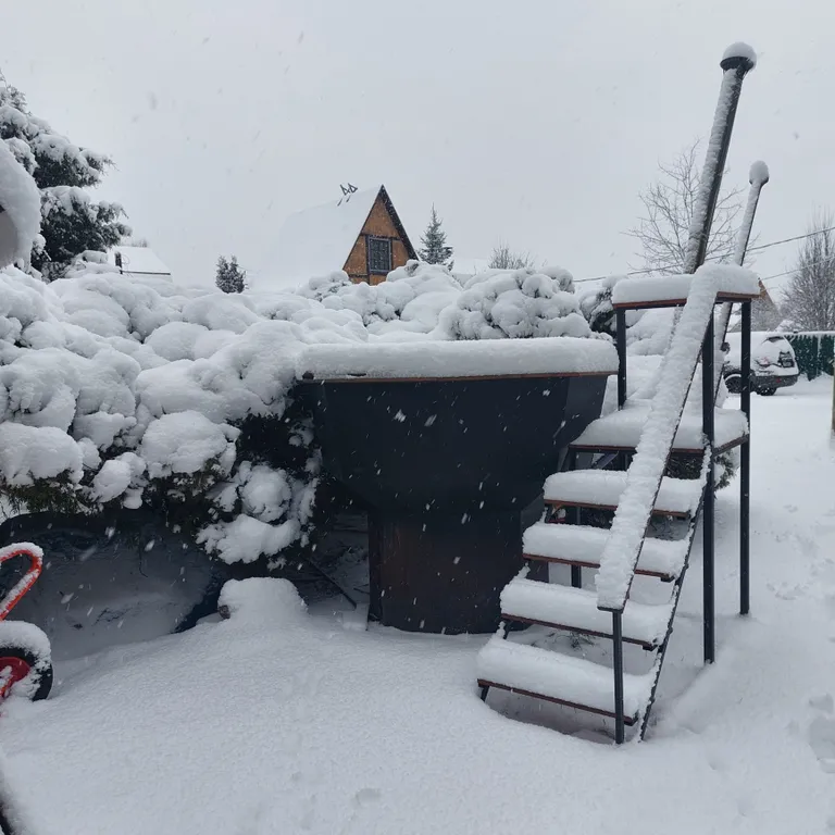 Новый год в Подмосковье. Идеальный дом с баней и чаном
