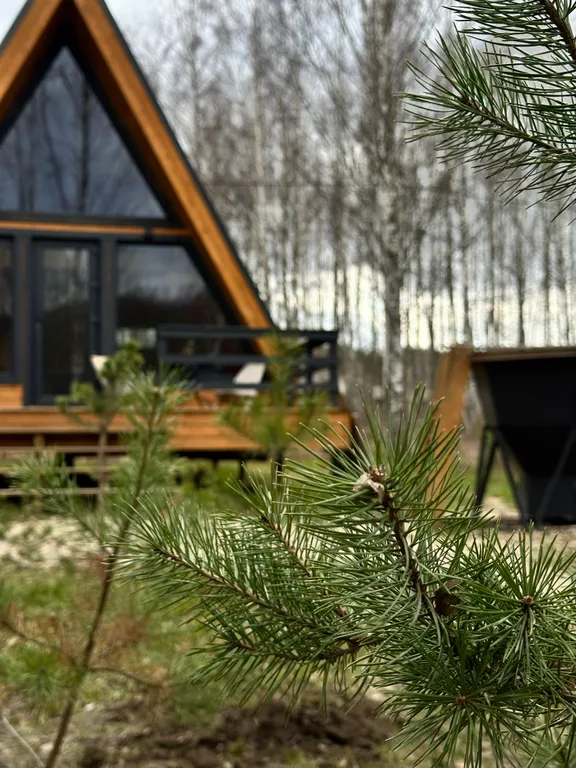 Дом в стиле a-frame в лесу в 10 км от Смоленска рядом с р. Днепр