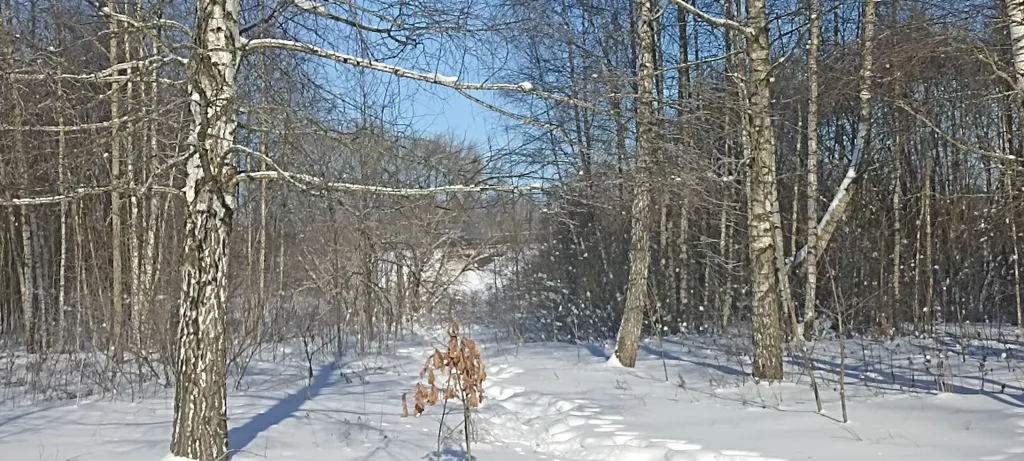 Усадьба Анатолия